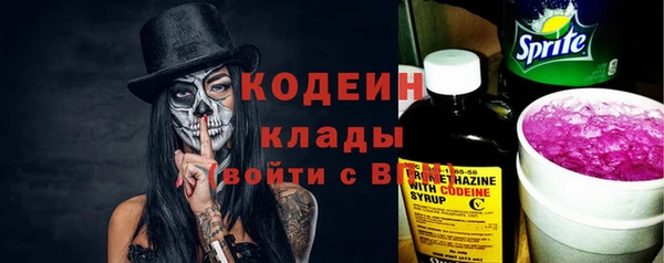 прущие грибы Медногорск