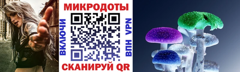 Галлюциногенные грибы Psilocybe  где купить наркоту  Йошкар-Ола 