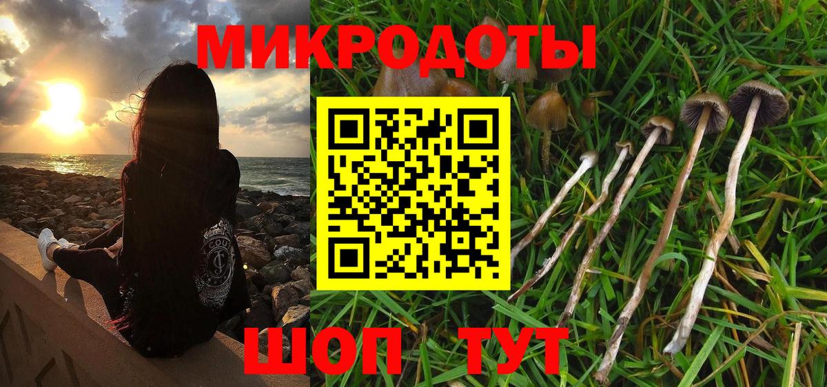 Псилоцибиновые грибы мицелий  Галлюциногенные грибы прущие грибы  Вход с VPN  Йошкар-Ола 