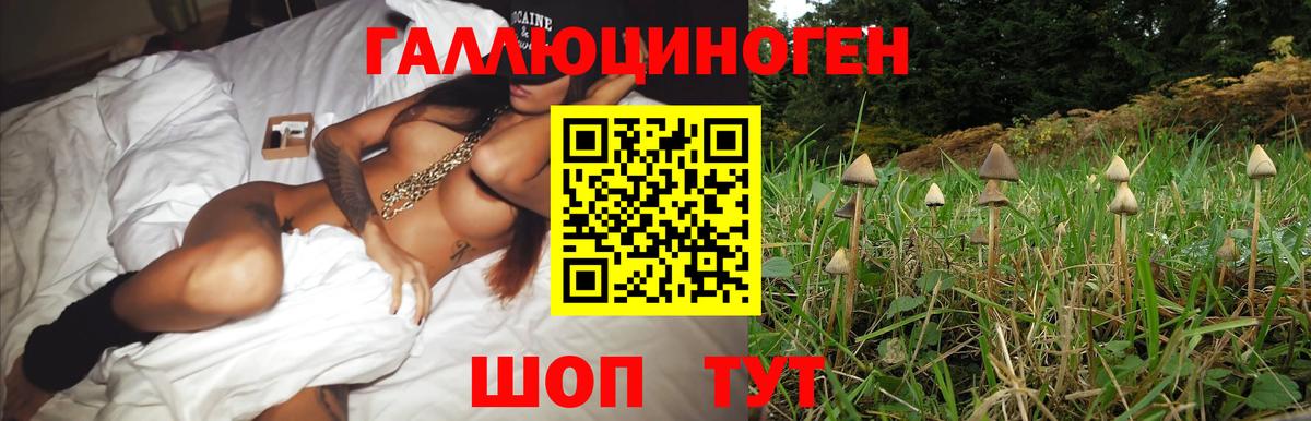 Псилоцибиновые грибы мухоморы Йошкар-Ола