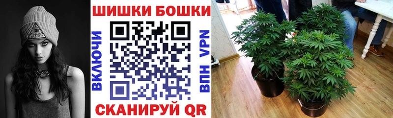Конопля гибрид Йошкар-Ола